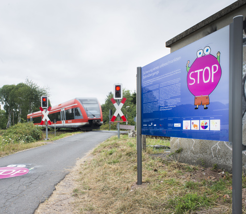 Artikelbild 3 des Artikels “Schnecke 1-10 “